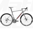 Ridley Grifn RS 105 Di2 disc