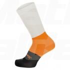 Santini Bengal High Profile socks