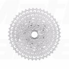 Campagnolo EKAR 13sp cassette