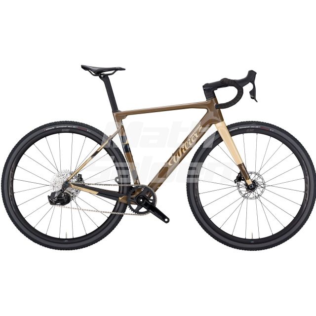 Wilier Rave SL Rival XPLR AXS D2 disc